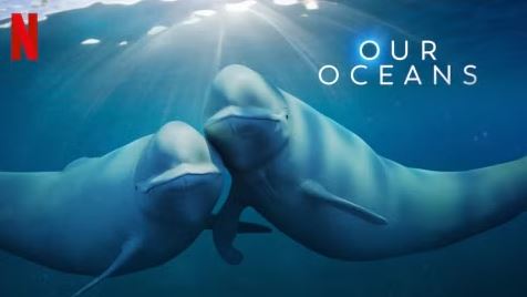 Our Oceans